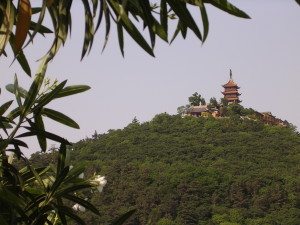 Buddhist Temple On Wolf Hill